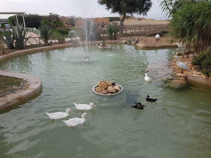 Kamarina Resort Scoglitti Kültér fotó